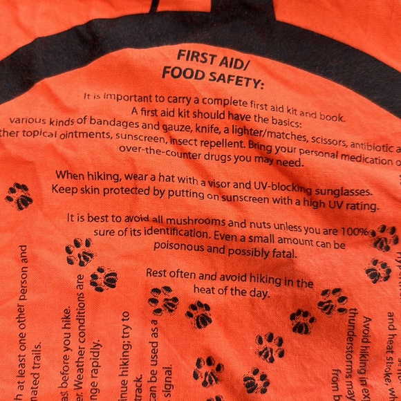 Set of four bandanas - two Disney, one Thomas the Train, one Survival Tips - Picture 16 of 16